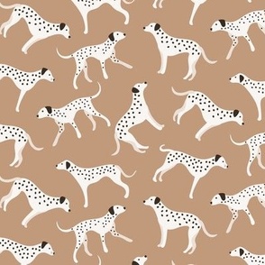 Dalmatian dogs on brown beige natural background