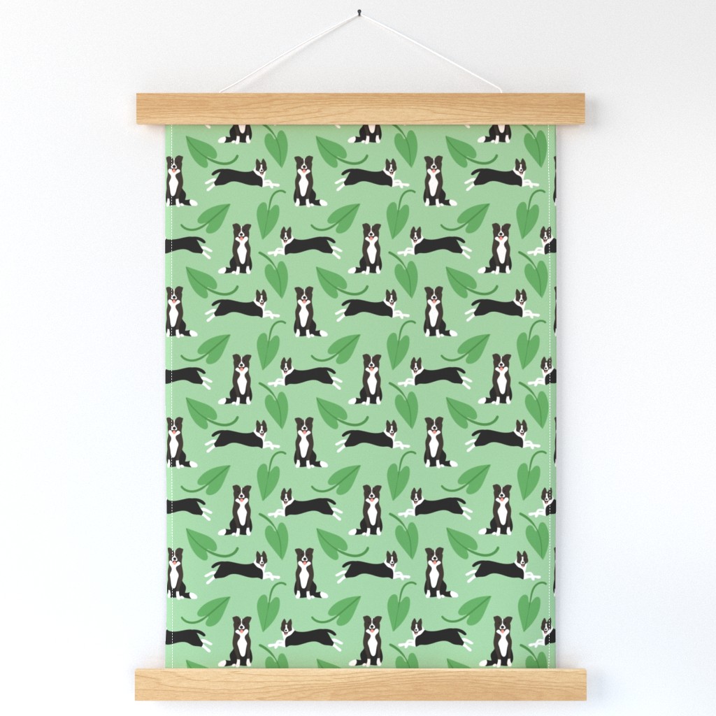 Cute border collie dogs with green leaves on green