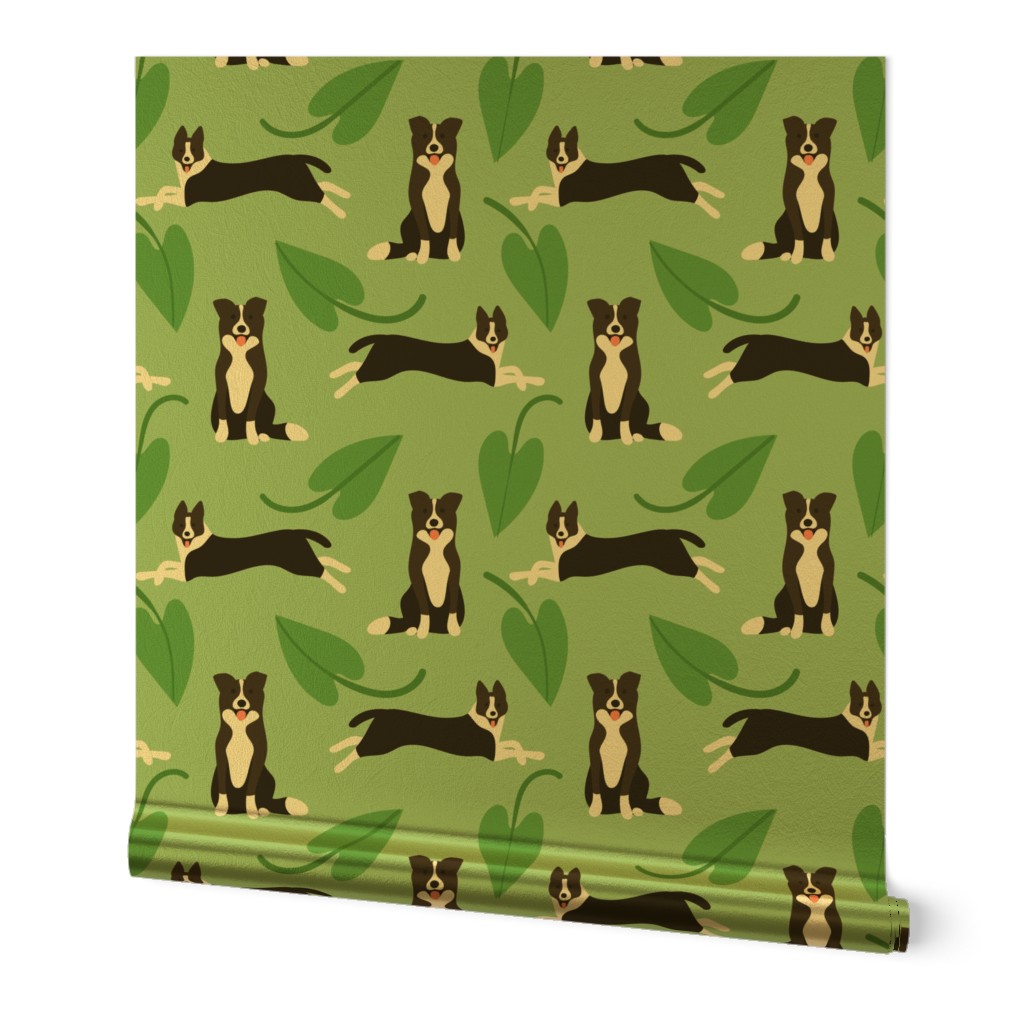 Cute border collie dogs with green leaves on green