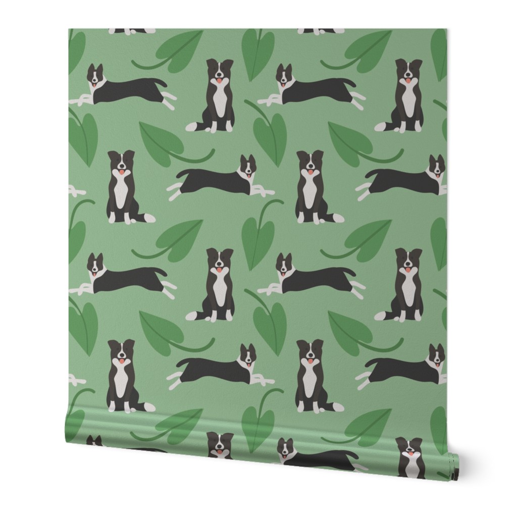 Cute border collie dogs with green leaves on green