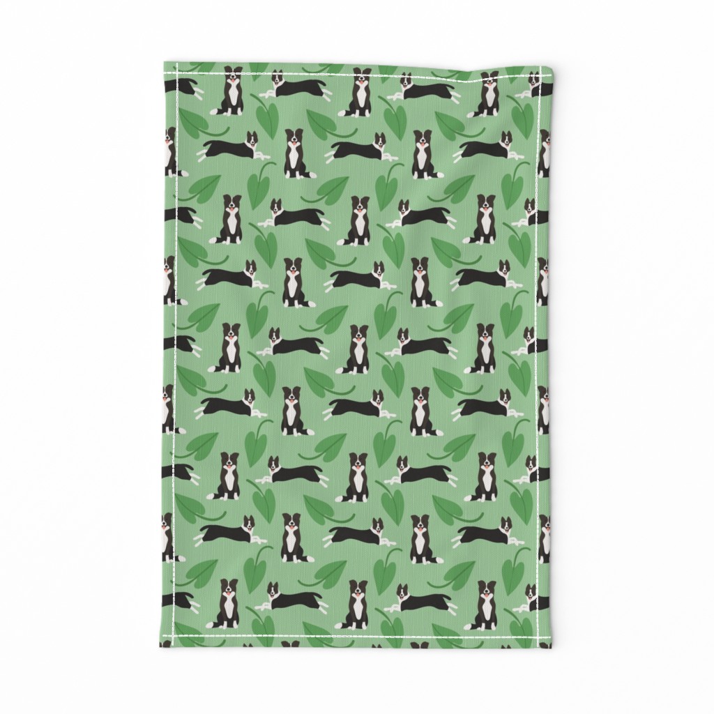 Cute border collie dogs with green leaves on green