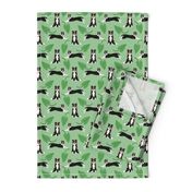 Cute border collie dogs with green leaves on green