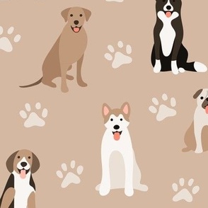 Ridgeback, pug, akita, border collie, beagle cute dogs on neutral beige brown