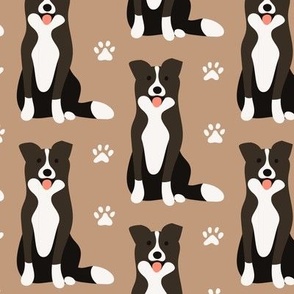 Cute border collie dogs paws on brown beige neutral