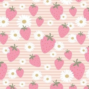 Strawberry summer garden daisy blossom and stripes pink white on blush