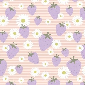 Strawberry summer garden daisy blossom and stripes lilac white lime on blush