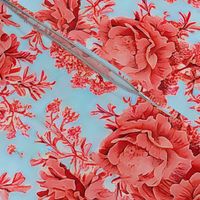 Luxury Coral Roses branch on sky blue 