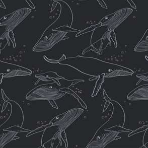 sea collection: WHALES