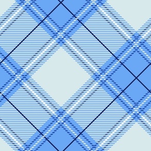 Blue Azure Diagonal Plaid LS