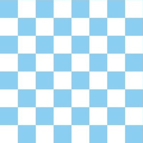 Baby Blue and White Checker Board