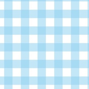 Baby Blue and White Gingham Plaid