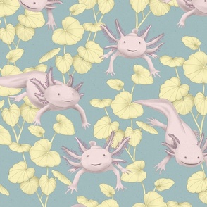 Axolotl Wallpaper  NawPic