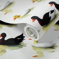 Swimming Ducks - Watercolor 