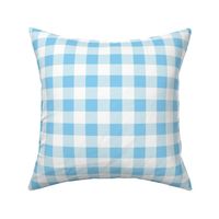 Baby Blue and White Buffalo Plaid