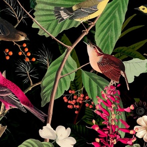 Midsummer Birds And Vegetation Vintage Botanical Illustration On Black