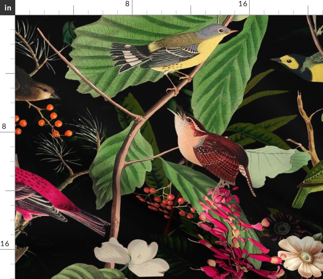 Midsummer Birds And Vegetation Vintage Botanical Illustration On Black