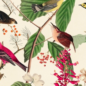 Midsummer Birds And Vegetation Vintage Botanical Illustration On A Warm Beige