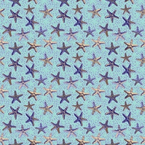 Starfish in the Sand Purple, small 