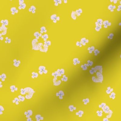 Small pansy flowers on a bright yellow background.