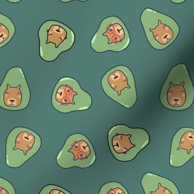 2 in. capybaras avocados. turquoise color background