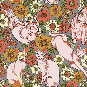 piglet pink sphynx and butter yellow daisies