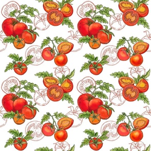 Red Tomatoes with line art on white - larger version