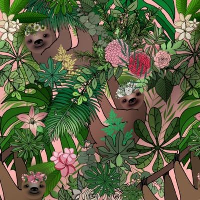 Bohemian Botanic Garden Sloths 
