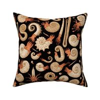 Ammonites - Black, Tan and Muted Orange