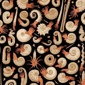 Ammonites - Black, Tan and Muted Orange