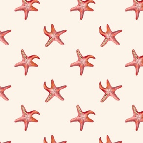 Fun starfish 
