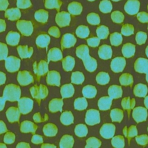 XL paint dot checkerboard  (note: slightly blurry!) - aqua and light green on khaki