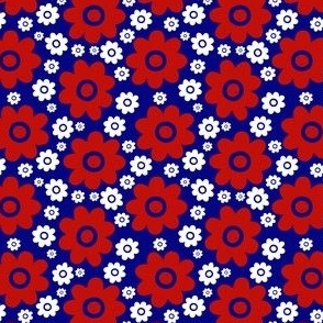 Daisies, patriotic on blue