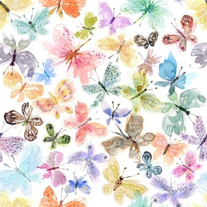 23 Butterflies