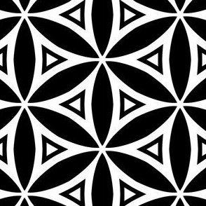 Black and White Geometric Modern