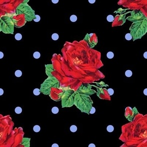 Red vintage roses blue polkadots on black - large