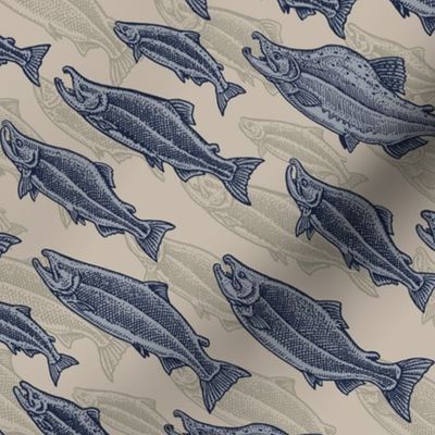 Salmon School - Blue and Tan