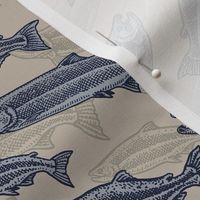 Salmon School - Blue and Tan