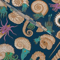 Ammonites - Party Colors!