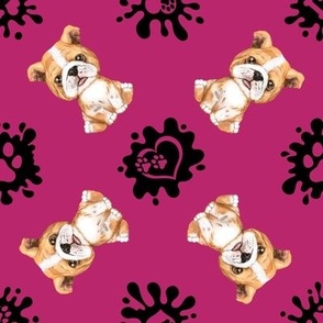 Puppy Love 4 Bulldog Raspberry
