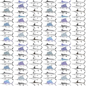 Royal Billfish Slam (Small) - Simple colour on white background
