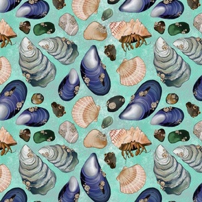 Shells and Pebbles ocean spray  Large