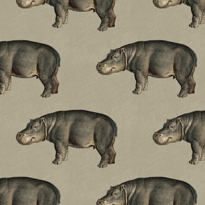 Vintage Hippos on solid khaki beige color with linen texture 