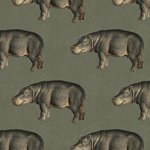 Vintage Hippos on solid army green color with linen texture