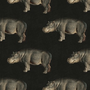 Vintage Hippos on solid dark umber color with linen texture