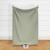 Sage Green solid color part of Earth Tone Kids Collection Barvatika