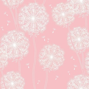 medium-Just Dandelion Puffs-white on blush Pink 