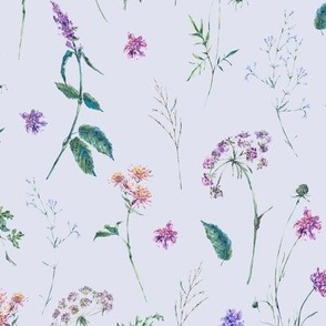 Lilac meadow flowers