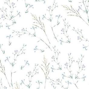 Gentle blue wildflowers on white