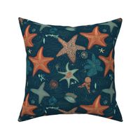starfish orange and blue