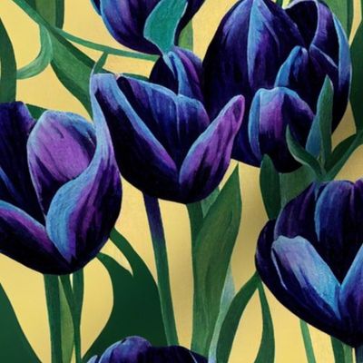 tulip purple
